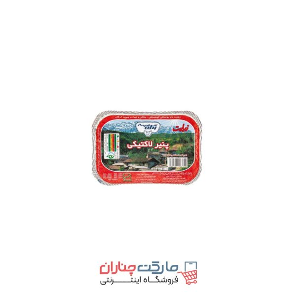 پنیر لاکتیکی ۳۰۰ گرم